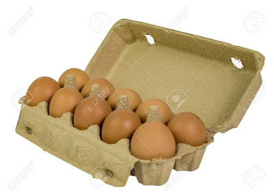 bv380 hen eggs