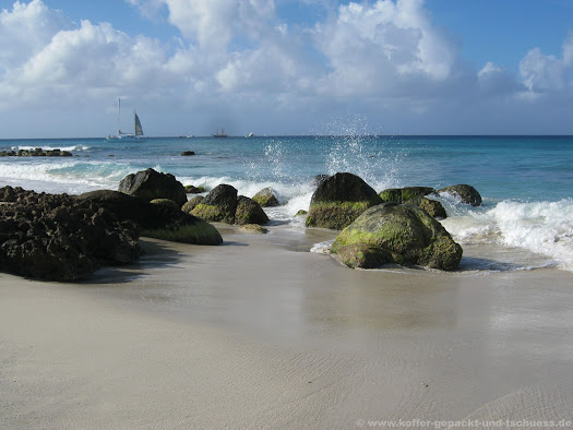 Aruba Arashi Beach