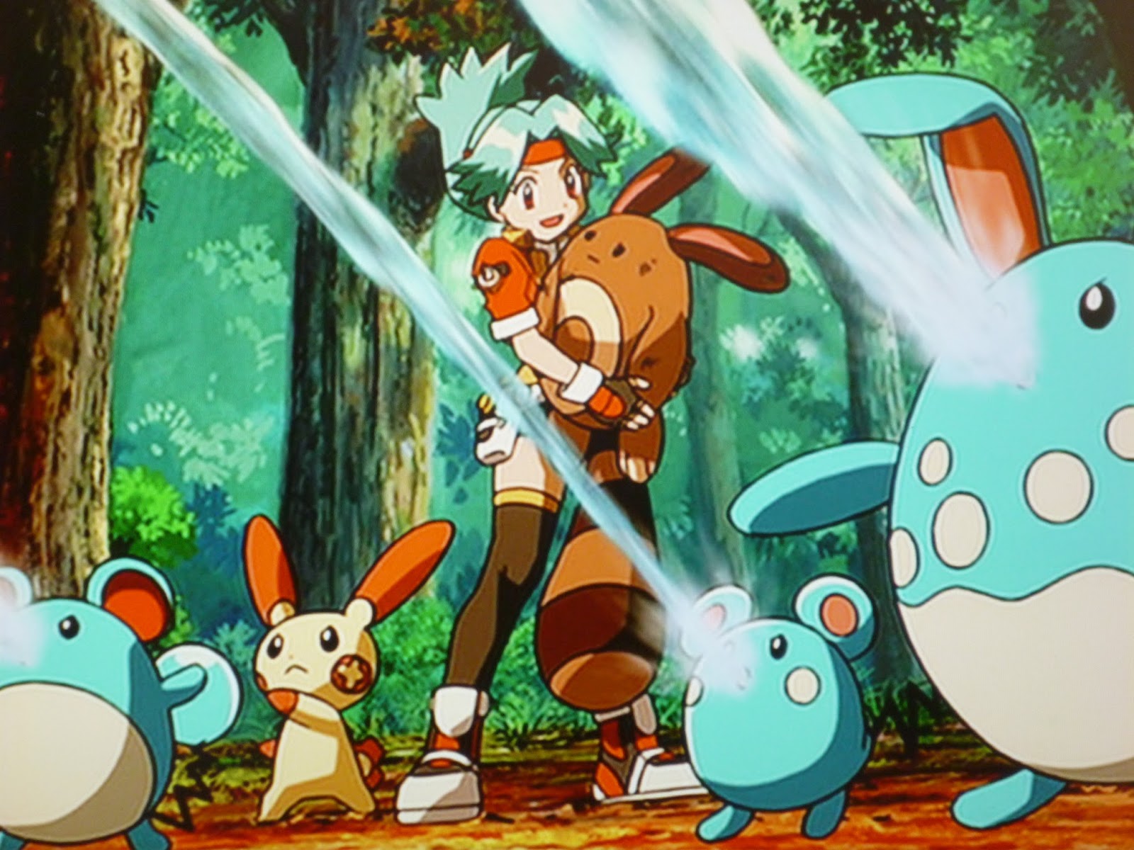 眠る昇華反応 整理 ポケモンと助け合う ポケモンレンジャー