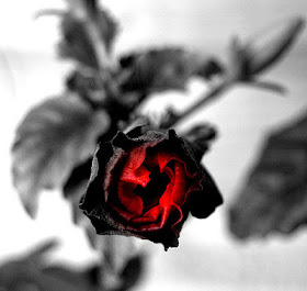 gothic rose give blood donation 