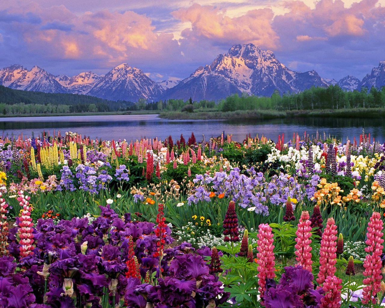 https://blogger.googleusercontent.com/img/b/R29vZ2xl/AVvXsEi0xSrLhjqaDl9sup8N18N-JB3BVQ3Ss-VhGcBfcjoESPjKpFjJIV2m0B911QCFq22TvlT68CWaSckI9iFvPurCdDvqIJPeoRQUkvvFL0ggmmn2c6omFVhLejEKy2mkeRsp0d4xhxE2E9l_/s1600/top_hd_spring_wallpapers+-+Copy+(2).jpg