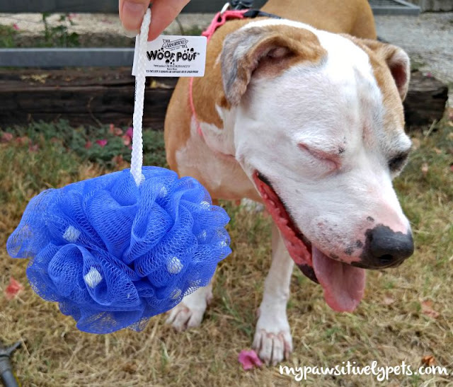 Absorbine ShowSheen Woof Pouf makes bath time easy and fights tough odors on dogs!