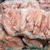 RDC : La viande porcine interdite d’importation de la Belgique contiendrait une forte dose de sulfadiazine