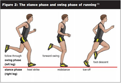 Running Biomechanics Diagram - El Paso Chiropractor