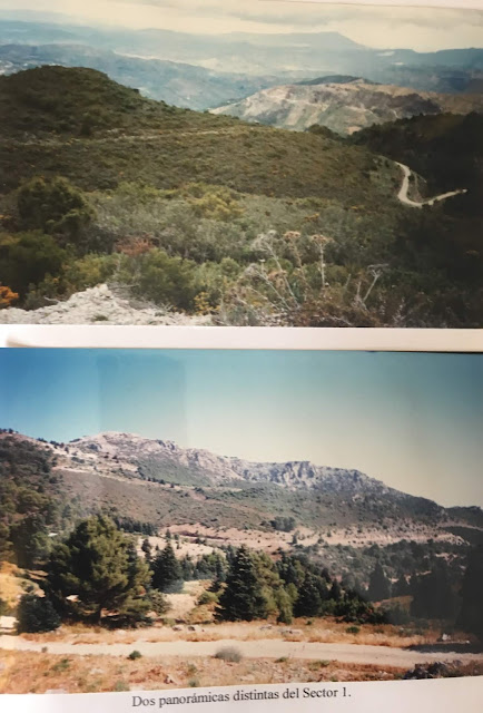  Imágenes del proyecto. Panorámica del sector 1 de la parcela a repoblar. Fuente: Pino Díaz, C.J., 1999. Proyecto de repoblación experimental de pinsapo (Abies pinsapo Boiss) con riego por goteo.