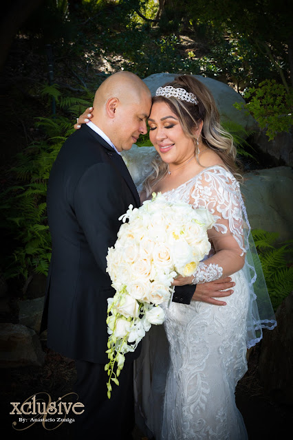 Wedding Professional Photographer in Los Angeles, Long Beach