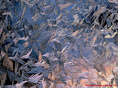 Winter Wallpapers HD Free