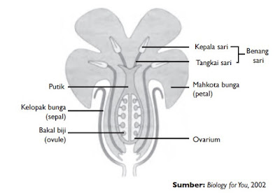 Bunga