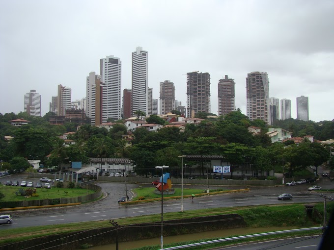 Selva de pedra