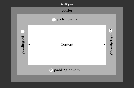 posisi margin, padding, dan border