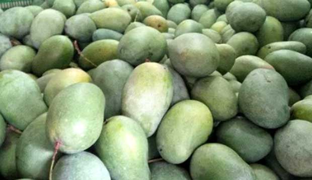 Jawa Timur Raja Pasar Mangga Nasional