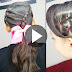 Learn - How To Make Simple And Easy Accented Ponytail Hairstyle, See Tutorial