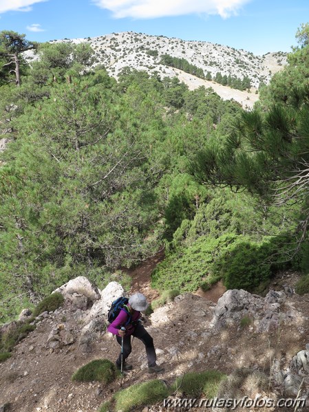 Pico Blanquillo (Sierras de Cazorla, Segura y Las Villas