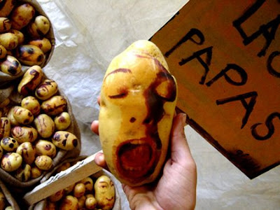 Weird and Ugly Potato Portraits