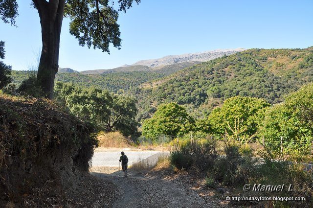 Circular Juzcar - Pujerra - Cartajima - Juzcar