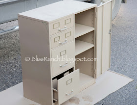 metal file cabinet redo Bliss-Ranch.com