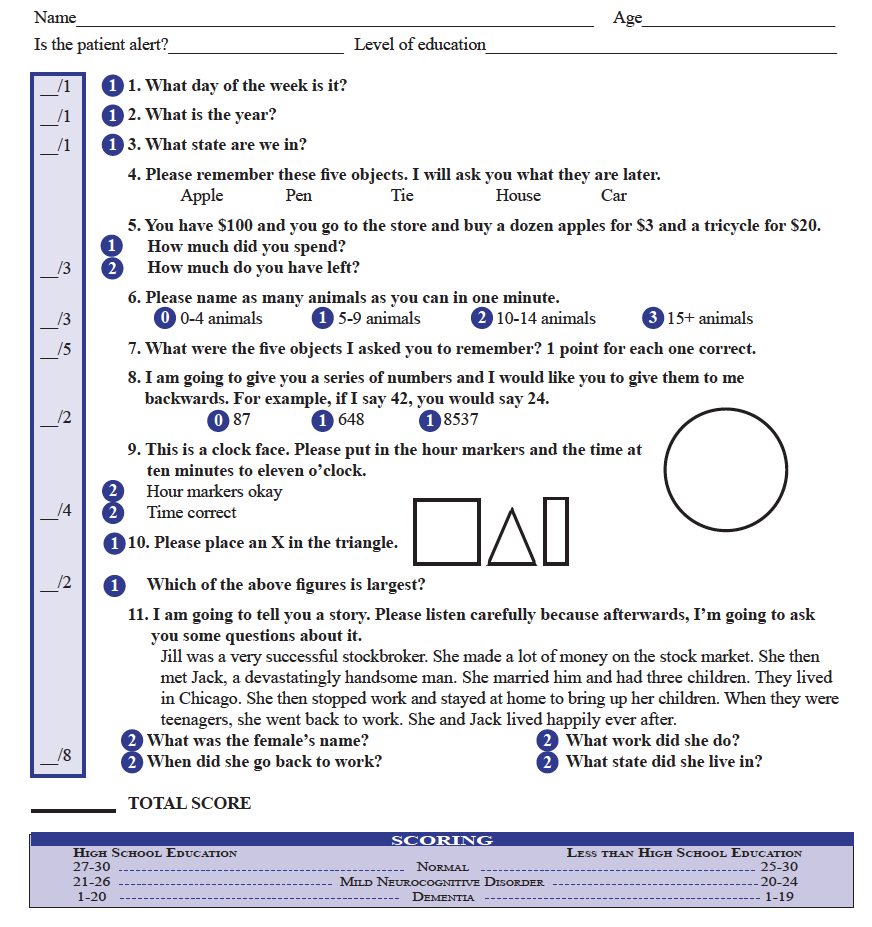 Slums Mental Status Exam Printable