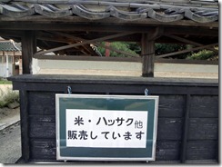 DSC07854e