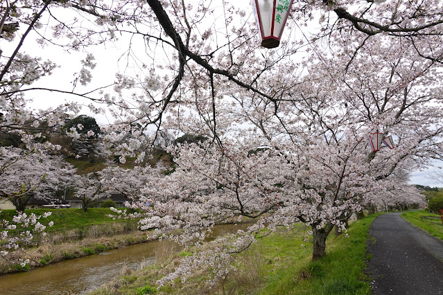 鳥取県西伯郡南部町法勝寺 東長田川沿いの堤防道路