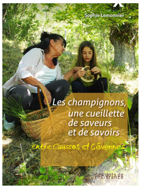 Les champignons, une cueillette de saveurs et de savoirs   Entre Causse et Cévennes