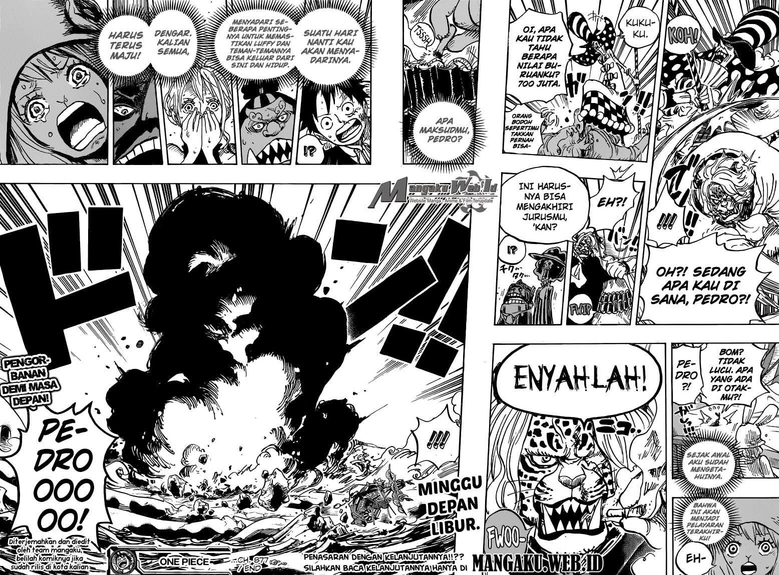 One Piece: Chapter 877 - Page 16