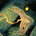 Harrow County - Issue 11 (Cover + Info) 