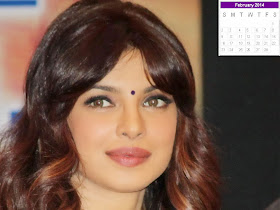 Priyanka Chopra Calendar 2014