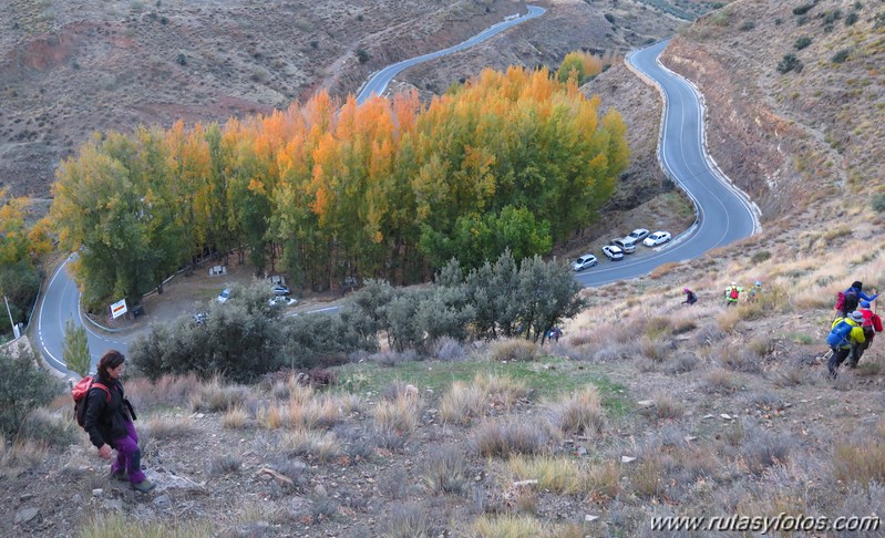 Dehesa del Camarate