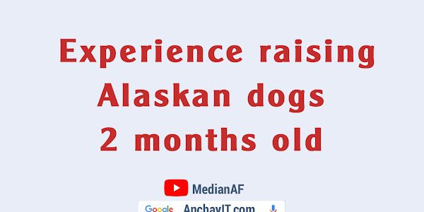 Experience raising Alaskan dogs 2 months old