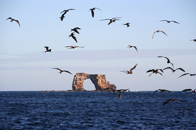  Darwin Island,Galapagos Islands