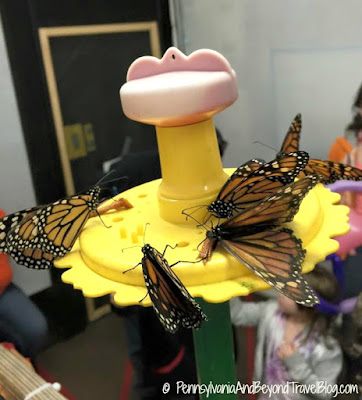 Folk's Butterfly Farm at the Pennsylvania Farm Show