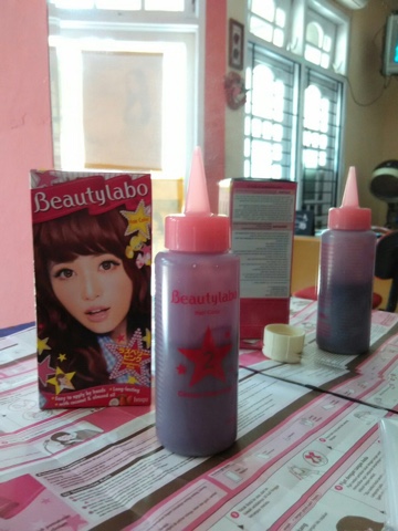 [REVIEW] Beautylabo Hair Color in Raspberry Pink - Anitamayaa