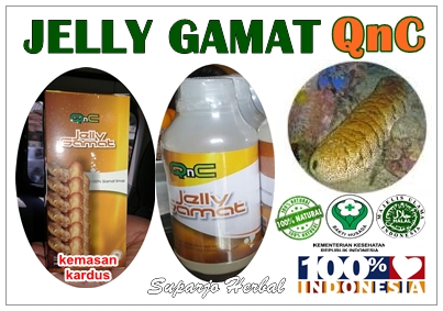 Pengobatan Herbal Penyakit Arteri Ginjal