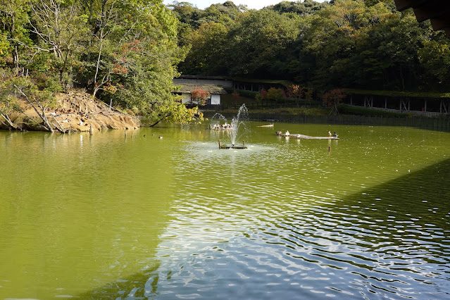 島根県松江市大垣町　松江フォーゲルパーク　水鳥池