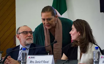 Morena pide omitir voto en futuras sesiones de consejero que apoyó frenar precampañas de sus aspirantes presidenciables