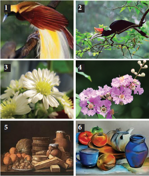  Gambar  25 Contoh Sketsa Gambar  Bunga Mudah Digambar 