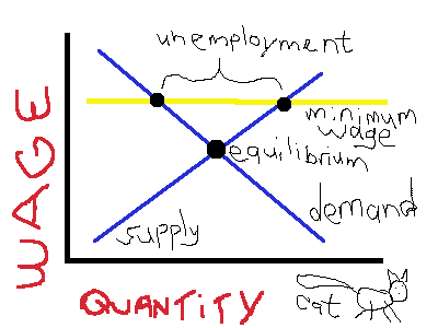 The federal minimum wage causes umemployment