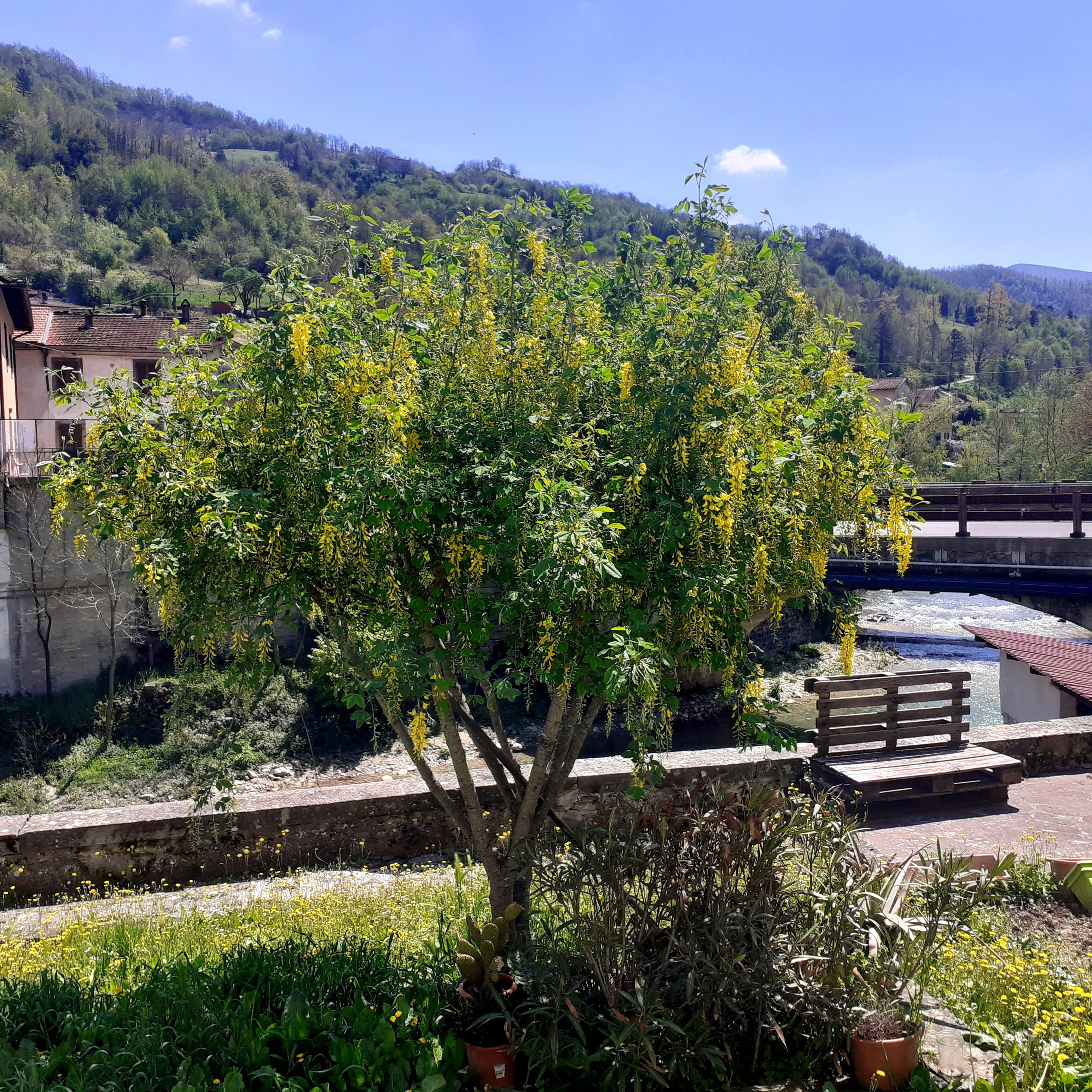 Dom z Kamienia blog o życiu w Toskanii