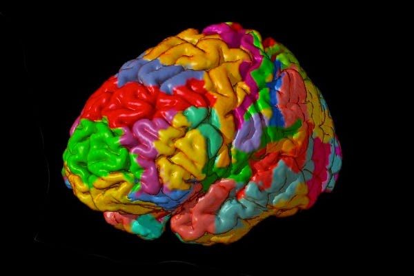 http://www.worldreligionnews.com/religion-news/christianity/neurotheology-study-brain-religion