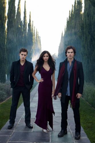 vampire diaries damon and stefan. There are three people in ones