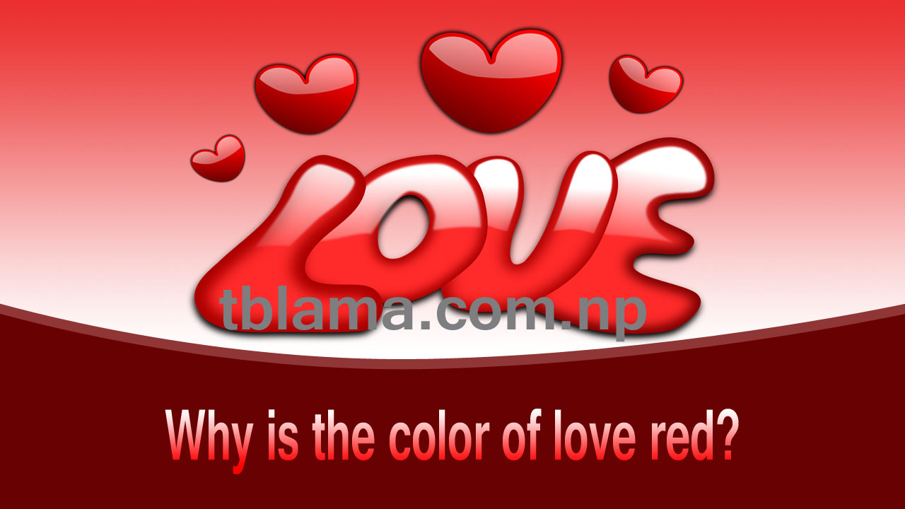 Why is the color of love red? Let's know.