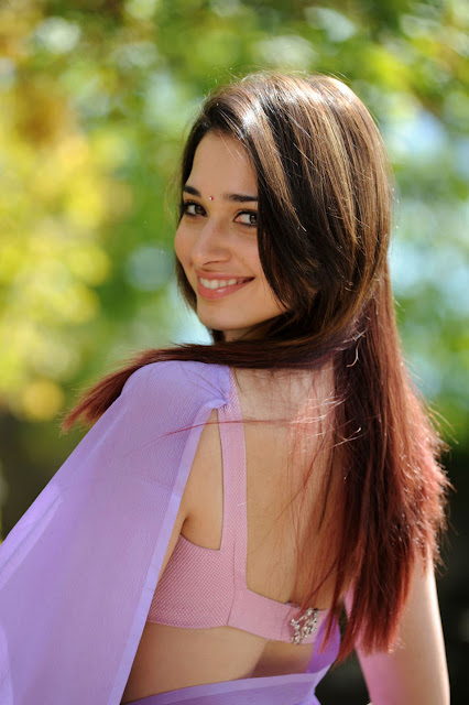 Tamanna Beautiful Pictures in Saree