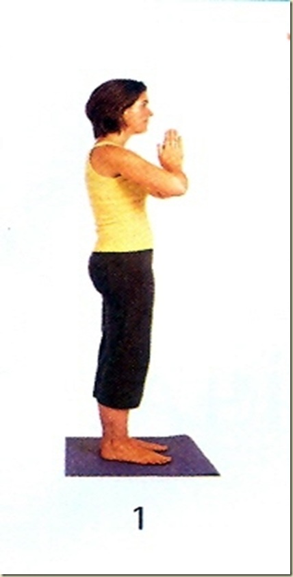 Yoga tipo 9 mudra 1