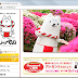 犬のご当地ゆるキャラといえば 静岡県 静岡探検倶楽部 犬のご当地ゆるキャラといえば 静岡県 静岡探検倶楽部