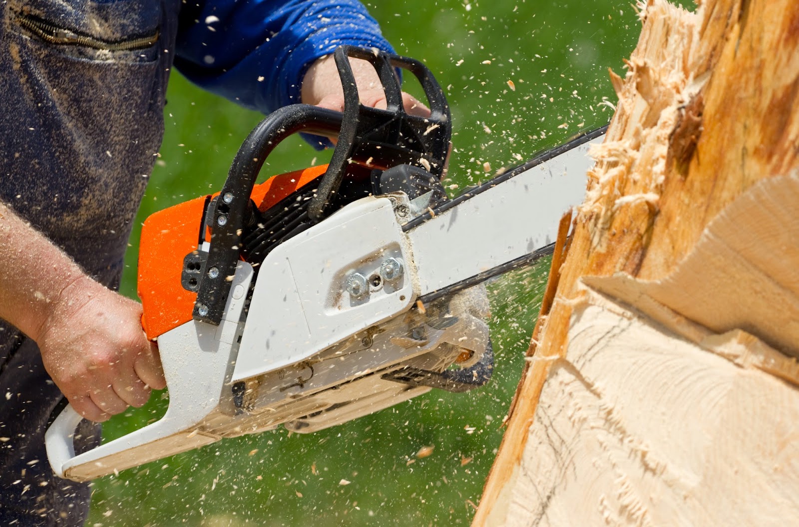 craftop speciality chainsaws