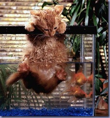 Tiggers_fishing