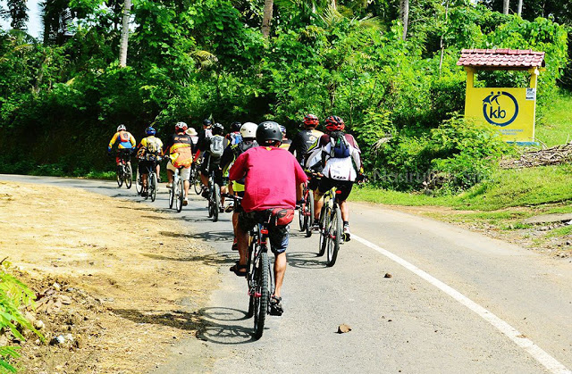 Rombongan pesepeda menyusuri jalan di Kulon Progo