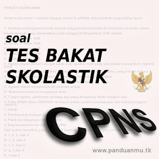 tes cpns bakat skolastik