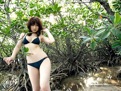 Sexy Girl Yoko Kumada, Japanese Bikini Model