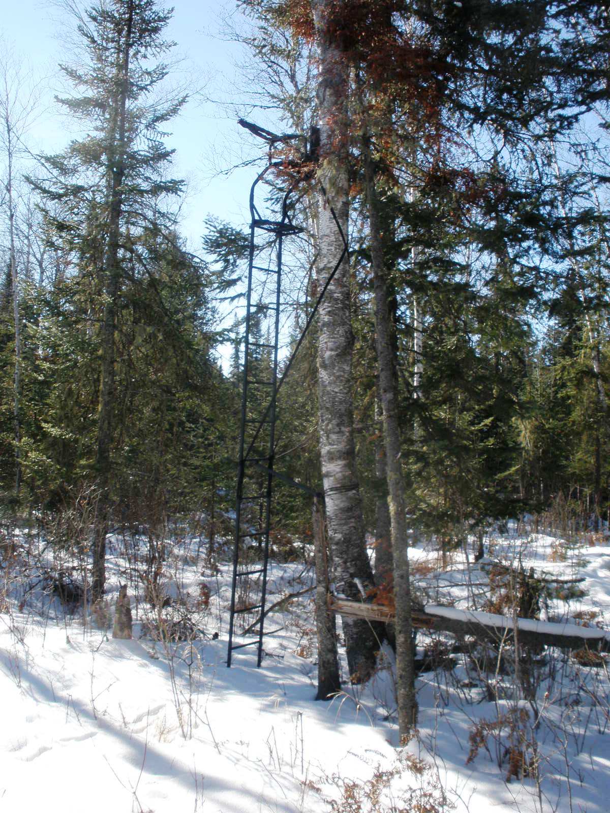 deer hunting tree stand plans